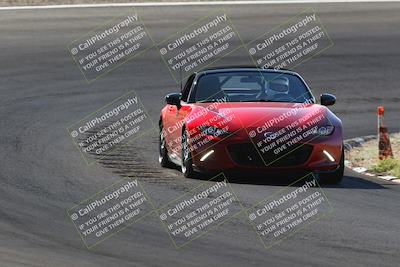 media/Oct-14-2023-West Coast Racing (Sat) [[6853f17b7b]]/Yellow Group/Session 1 (Turn 3)/